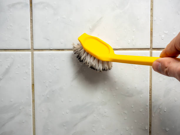 Best Mold Remediation  in Tuckerton, NJ
