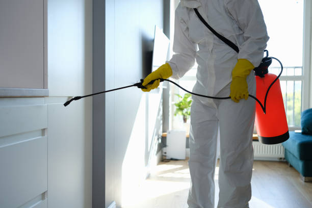 Best Mold Remediation Services  in Tuckerton, NJ